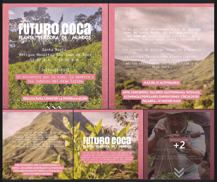 Futuro coca