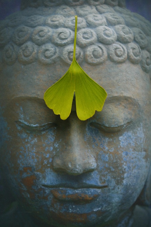 buda